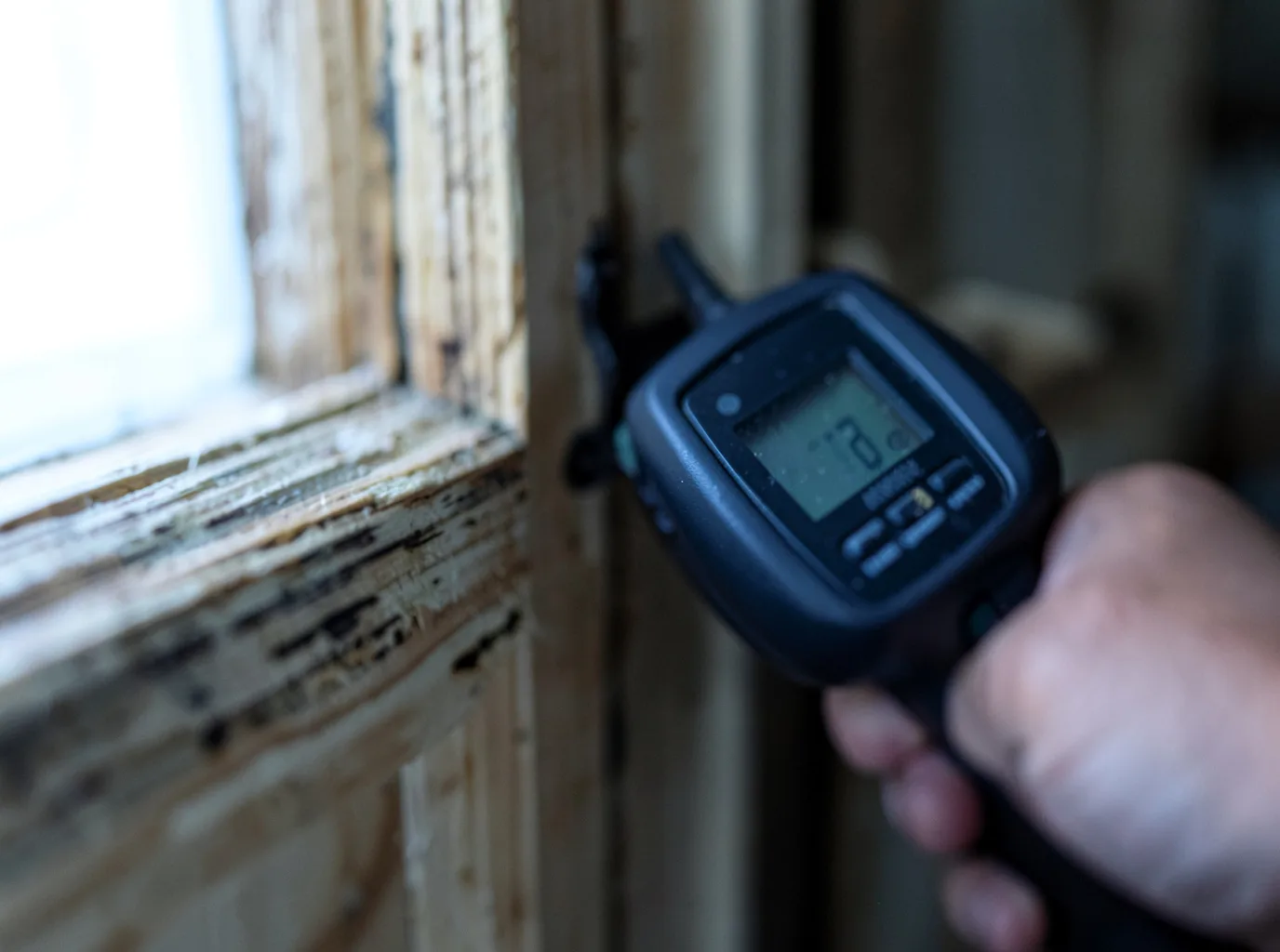 Moisture Inspection And Documentation in Lusby, MD